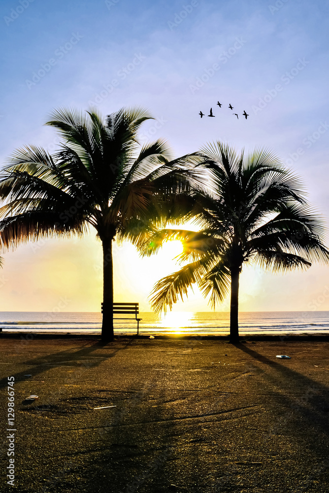 Wall mural Two coconut tree when sun rising