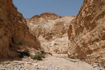 Fototapeta premium Desert canyon