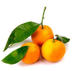 five orange mandarin isolated on white background