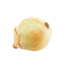 Onion isolated on white background