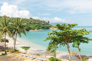 Fototapeta na wymiar Tropical beach with sea and palm