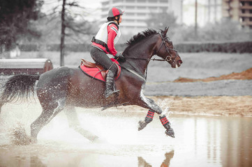 Rider on a cross country horse overcomes water obstacle in the spray, monochrome art