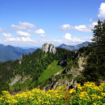Blick vom Laber auf das ETTALER MANNDL ( 1633 Meter ) - Ammergauer Alpen