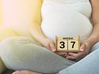 Calendar with weeks 37 of pregnant with pregnancy woman background. Maternity concept. Expecting an upcoming baby. Due date countdown.