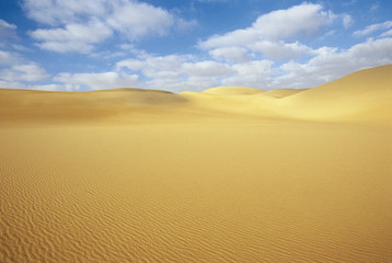 Fototapeta na wymiar Desert and sand dunes under blue sky