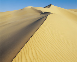 Fototapeta na wymiar Crest of sand dune
