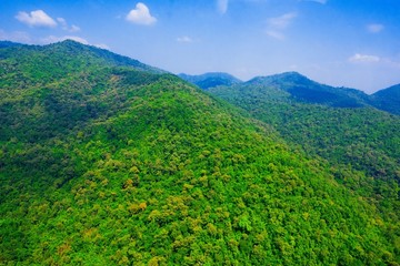 Fototapeta na wymiar Aerial view of forest