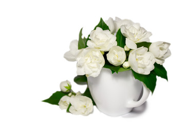 jasmine flowers in a white cup
