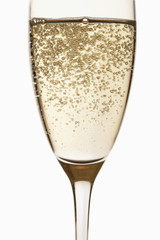 Glass of Champagne close up in studio