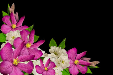 beautiful flowers(clematis and pear tree flowers)