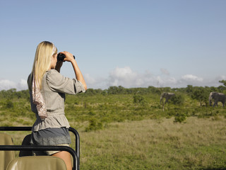 Rear view of a young blond woman on safari standing in jeep looking through binoculars © MDBPIXS