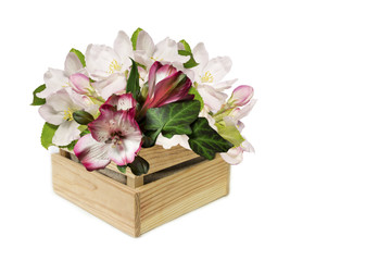 rhododendron and apple flowers 