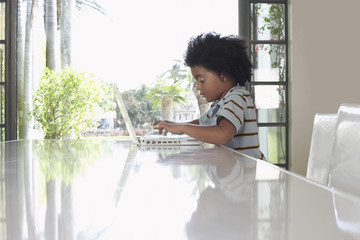 Side view of little boy using laptop at dining table