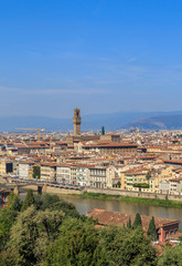 Fototapeta na wymiar View of Florence's historic center, vertical frame