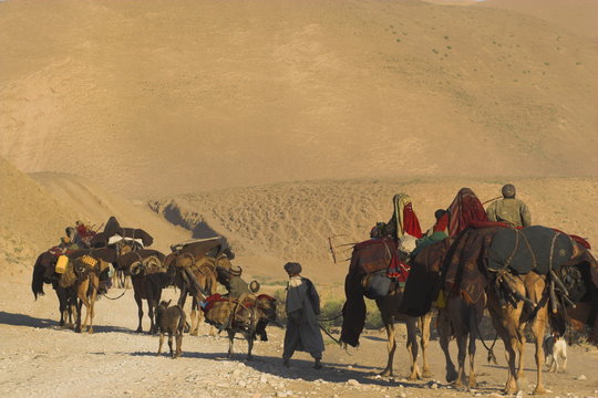 Kuchie nomad camel train, between Chakhcharan and Jam, Afghanistan