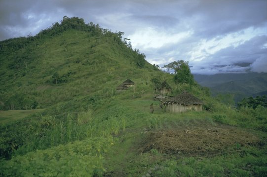 Yali village, Irian Jaya (West Irian) (Irian Barat), New Guinea, Indonesia
