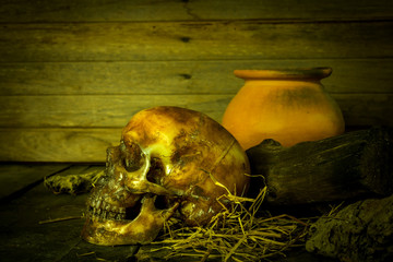 Human skull on old wood background, still life concept