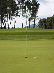 Obraz premium Golf flag and ball on the green grass