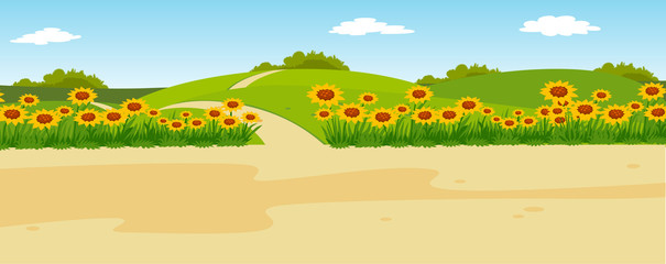 summer panoramic rural landscape with hills, road and sunflowers