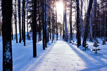 Central Park in Tomsk, Western Siberia on a cold day