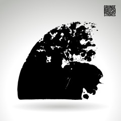 Brush stroke and texture. Vector design. Underline and border.