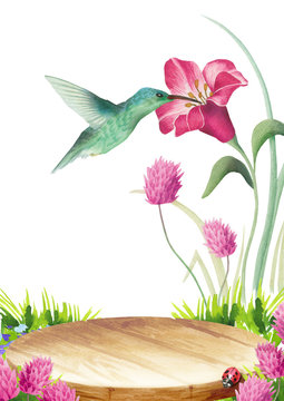 Background with clover and a bird  for your products. Watercolor
