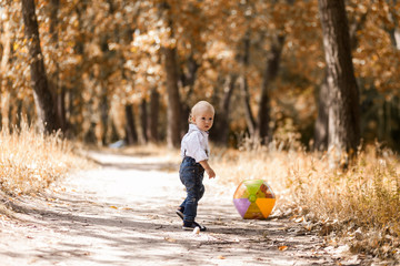 Little boy playing in autumn park