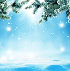 Fototapeta na wymiar Christmas background with fir tree branch.Winter landscape