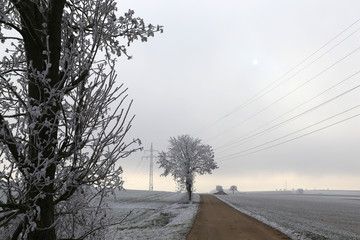 Winter landscape