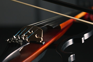 Electric violin isolated