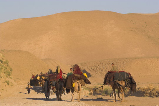 Kuchie nomad camel train, between Chakhcharan and Jam, Afghanistan