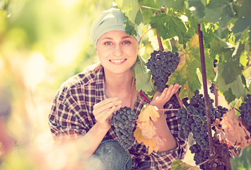 Portrait of happy female worker at grape farm