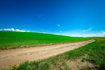 Green Field and Beautiful Sunset