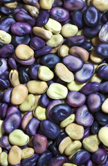 Background of raw beans close up shot