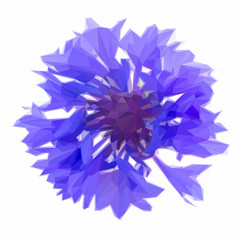 Low poly illustration Blue cornflower button isolated on white background