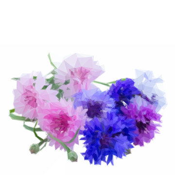 Low poly illustration Bunch of blue and pink cornflowers isolated on white background
