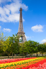 eiffelTower in sunny spring day with flowers in Paris, France