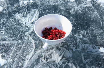 picnic on the lake Baikal