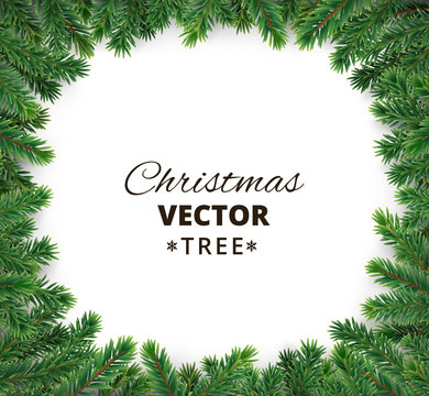 Background with vector christmas tree branches and space for text