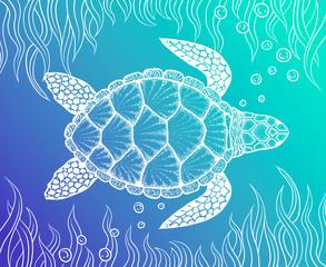 Sea turtle in line art style. Hand drawn vector illustration. Top view. Design for coloring book. Set of ocean elements