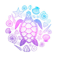 Sea turtle and shells in line art style. Hand drawn vector illustration. Top view. Design for coloring book. Set of ocean elements