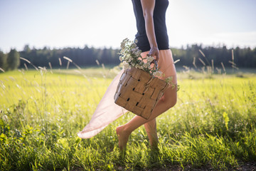 Woman walking on a field collecting herbs to the basket. © Sami