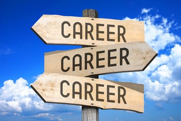 Obraz premium Career - wooden signpost
