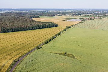 Obraz premium aerial view of the harvest fields