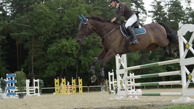 SLOW MOTION: Young woman rider jumping over barrier on strong dark brown horse