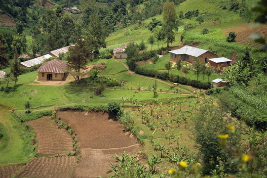 Aerial view of children leaving school and terraced fields, Kabale, Uganda