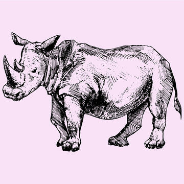 Rhinoceros doodle style sketch illustration hand drawn vector