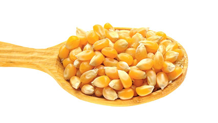 Wooden spoon with corn seeds isolated on white