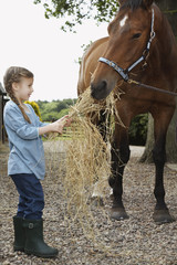 Full length side view of a little girl feeding horse hay