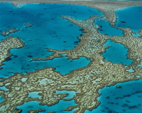 The Great Barrier Reef, Queensland